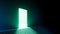 3d rendering, abstract minimalist geometric background. Bright daylight, green neon light. Doorway portal glowing in the dark