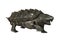 3D Rendering Alligator Snapping Turtle on White