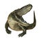 3D Rendering American Alligator on White