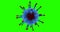3D rendering animation, blue coronavirus cells covid-19 influenza flowing on blue gradient background and chroma key green screen