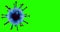 3D rendering animation, blue coronavirus cells covid-19 influenza flowing on grey gradient background and chroma key green screen