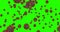 3D rendering animation, coronavirus cells covid-19 influenza flowing on chroma key green screen background as dangerous flu strain