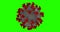 3D rendering animation, coronavirus cells covid-19 influenza flowing on multi background chroma key green screen,black,white,grey,