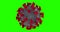 3D rendering animation, coronavirus cells covid-19 influenza flowing on multi background chroma key green screen,black,white,grey,