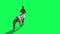 3D Rendering Animation Of Male Centaur Half Horse Half Man