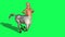 3D Rendering Animation Of Male Centaur Half Horse Half Man