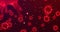 3D rendering animation, red coronavirus cells covid-19 influenza flowing on dark red gradient background as dangerous flu strain