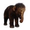 3D Rendering Baby Woolly Mammoth on White