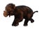 3D Rendering Baby Woolly Mammoth on White