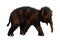 3D Rendering Baby Woolly Mammoth on White