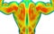3d rendering. Back side top part of Human muscle body scan by infrared ray structure measure with clipping path isolated