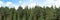 3D rendering of the background panorama of a coniferous forest. Detailed outdoor background of hilly forest