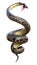 3D Rendering Ball Python on White