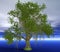 3D rendering of a banyan tree
