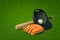 3d rendering of a baseball bat, a cap with a baseball inside, and a baseball glove lying on fresh green lawn.