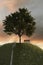 3d rendering of a beech tree next to a wooden bench at high green hill in the evening sunset