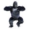 3D Rendering Black Gorilla Ape on White