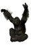 3D Rendering Black Gorilla Ape on White