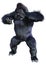 3D Rendering Black Gorilla Ape on White