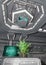 3D Rendering Botanical Space Laboratory