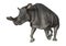 3D Rendering Brontotherium on White