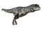 3D Rendering Carnotaurus Sastrei Dinosur on White
