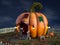 3D rendering of a cartoon mouse at a fairytale pumpkin house