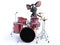 3D rendering of a cartoon mouse playing drums