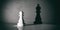 3d rendering chess pawn and king shadow