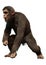 3D Rendering Chimpanzee on White