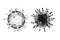 3D rendering. Corona virus , COVID-19