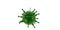 3D rendering Coronavirus Bacteria Cell Icon, 2019-nCoV Novel Coronavirus SARS-CoV-2 Bacteria. Danger, virus, flu. Analysis and