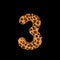 3D Rendering Creative Illustration Leopard Print Furry Number 3