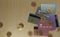 3D rendering credit cards and stack gold dollar coins on a brown wooden floor. Minimal style money dollar cash icon. Economy,