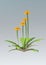 3D Rendering Dandelion Flowers