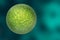 3D Rendering Detail View of Green Virus