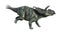 3D Rendering Dinosaur Albertaceratops on White
