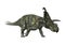 3D Rendering Dinosaur Albertaceratops on White