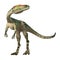 3D Rendering Dinosaur Coelophysis on White