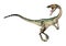 3D Rendering Dinosaur Coelophysis on White