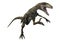 3D Rendering Dinosaur Deinonychus on White