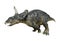 3D Rendering Dinosaur Diceratops on White