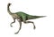 3D Rendering Dinosaur Gallimimus on White