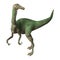 3D Rendering Dinosaur Gallimimus on White