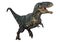 3D Rendering Dinosaur Gigantosaurus on White