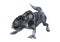 3D Rendering Dinosaur Protoceratops on White