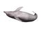 3D Rendering Dolphin on White