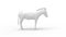 3D rendering of donkey white small animal studio islated white background