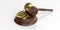 3d rendering e commerce symbol and an auction gavel