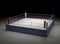 3d rendering of an empty boxing ring spotlighted in the dark.